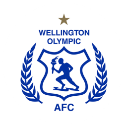 纳皮尔城流浪者